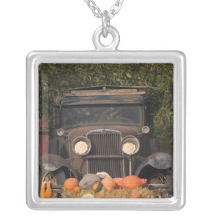 CANADA, British Columbia, Keremeos. Autumn / 2 Silver Plated Necklace