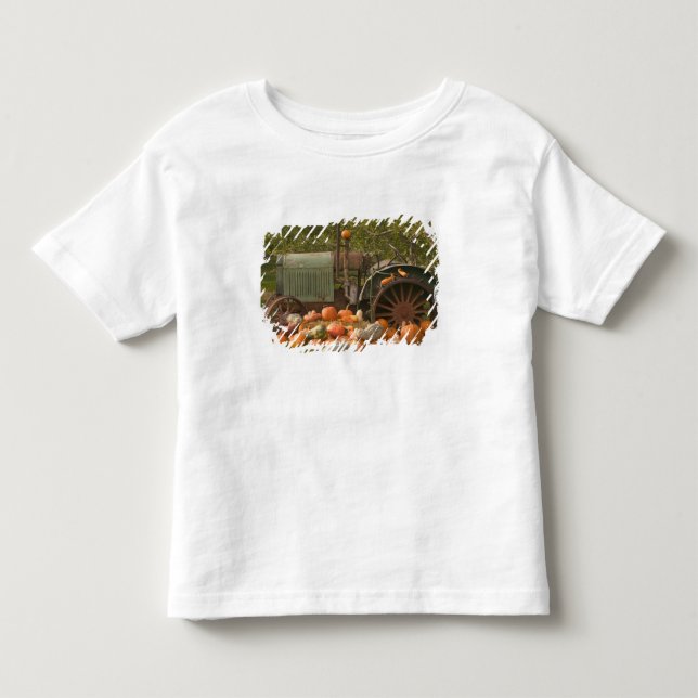 CANADA, British Columbia, Keremeos. Autumn / 2 Toddler T-shirt (Front)