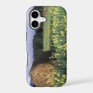 Canada, British Columbia, Kitwanga. Yellow iPhone 17 Case