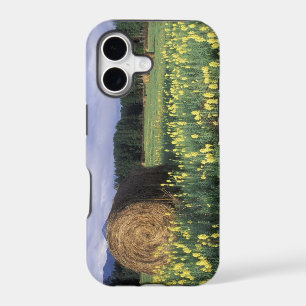 Canada, British Columbia, Kitwanga. Yellow iPhone 17 Case