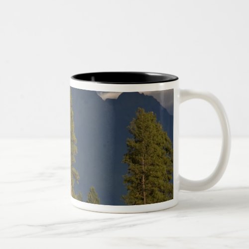 Canada British Columbia Kootenay Rockies Two_Tone Coffee Mug