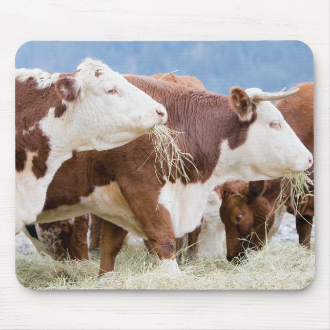 Canada, British Columbia, Pemberton Mouse Pad (Front)