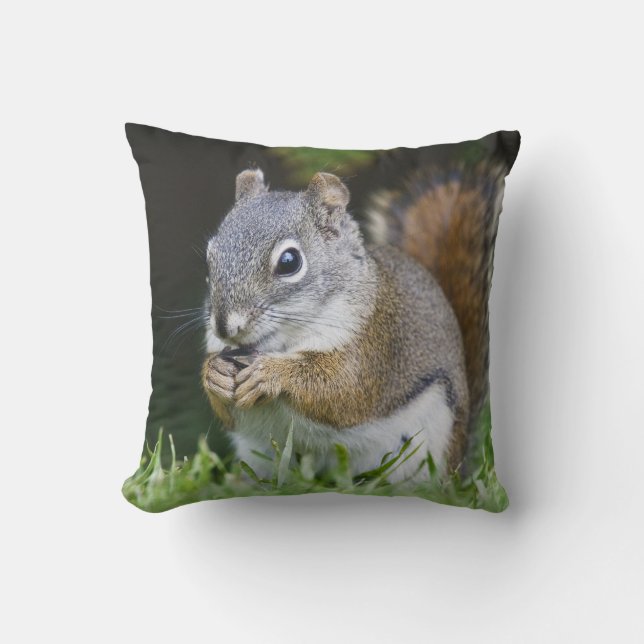 Canada, British Columbia, Red Squirrel Pine Throw Pillow (Front)