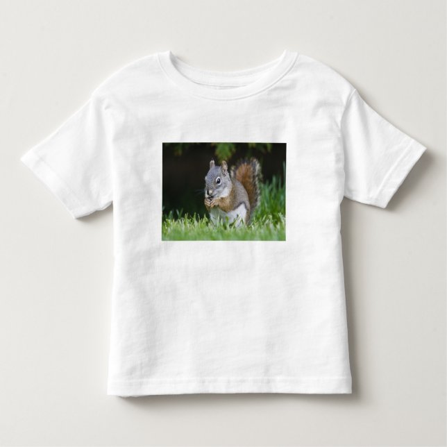 Canada, British Columbia, Red Squirrel Pine Toddler T-shirt (Front)
