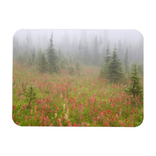 Canada, British Columbia, Revelstoke National Magnet