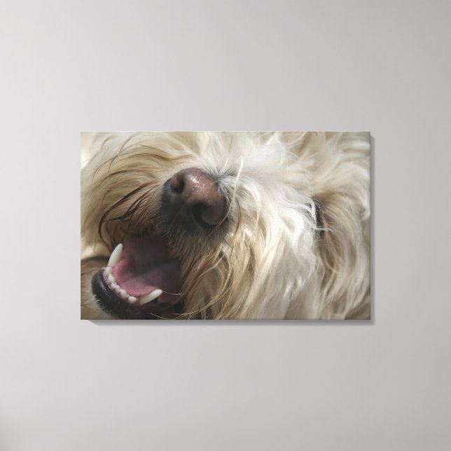 Canada, British Columbia, Vancouver Canvas Print (Front)