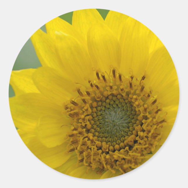 Canada, British Columbia, Vancouver Island 7 Classic Round Sticker (Front)