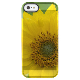 Canada, British Columbia, Vancouver Island 7 Clear iPhone SE/5/5s Case