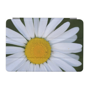 Canada, British Columbia, Vancouver Island 8 iPad Mini Cover