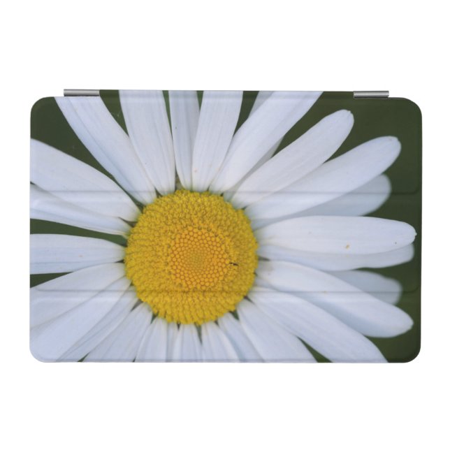 Canada, British Columbia, Vancouver Island 8 iPad Mini Cover (Horizontal)