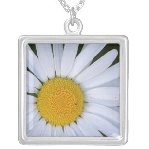 Canada, British Columbia, Vancouver Island 8 Silver Plated Necklace