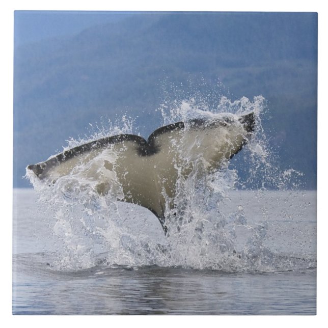 Canada, British Columbia, Vancouver Island, Ceramic Tile (Front)