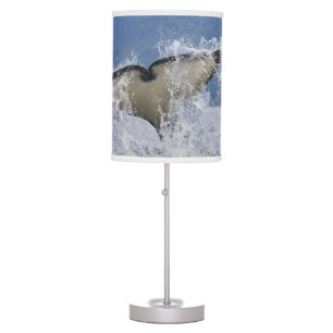 Canada, British Columbia, Vancouver Island, Table Lamp