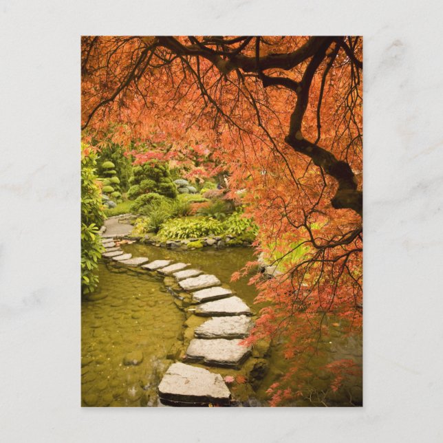 CANADA, British Columbia, Victoria. Autumn Postcard (Front)