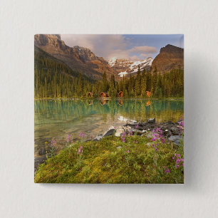 Canada, British Columbia, Yoho National Park. 2 Button
