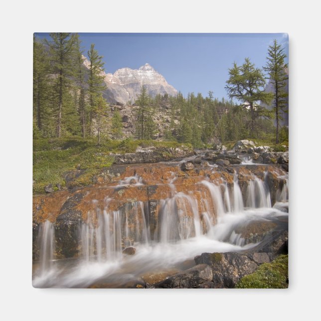 Canada, British Columbia, Yoho National Park. 2 Magnet (Front)