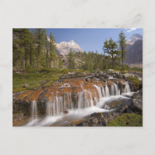 Canada, British Columbia, Yoho National Park. 2 Postcard