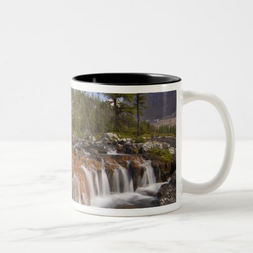 Canada British Columbia Yoho National Park 2 Two_Tone Coffee Mug