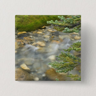 Canada, British Columbia, Yoho National Park. 4 Button