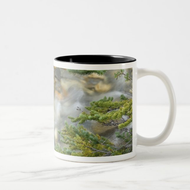 Canada, British Columbia, Yoho National Park. 4 Two-Tone Coffee Mug (Right)
