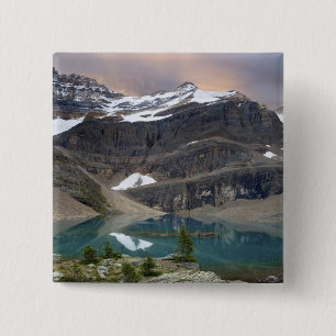 Canada, British Columbia, Yoho National Park. Button