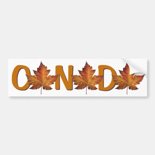 Canada Bumper Sticker Autumn Gold Maple Leaf