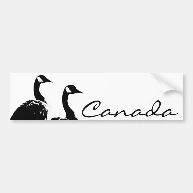Canada Bumper Sticker Canada Geese Stickers (Front)