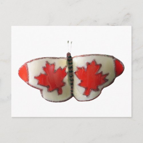 Canada Butterfly Postcard