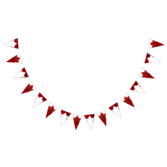 Canada Day Bunting Banners Canada Decorations  (All)