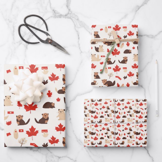 Canada Day July 1 Independence Pattern 1 Wrapping Paper Sheets (Front)