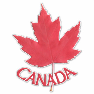 Canada Decals Maple Leaf Window Decal Stickers