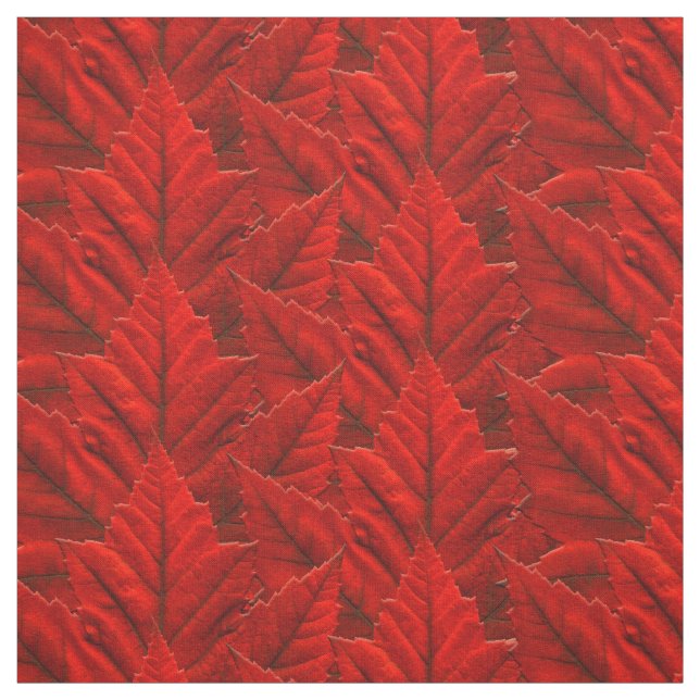 Canada Fabric Canada Maple Leaf Fabric Flag Fabric (Swatch)