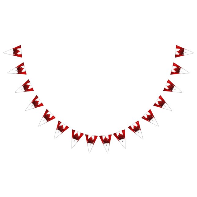 Canada Flag Bunting Banners Canada Day Decorations (All)