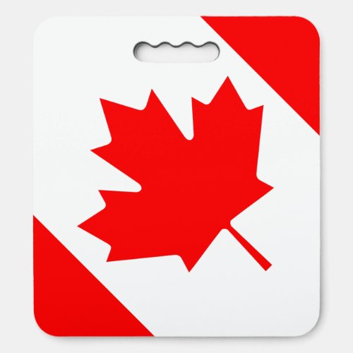 Canada Flag Colors Maple Leaf Red White Seat Cushion