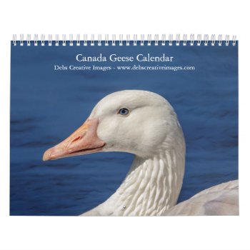 Canada Geese 2024 Calendar by debscreative at Zazzle