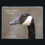 Canada Geese 2026 Calendar<br><div class="desc">This is a calendar full of photo's of Canadian Geese. These images were taken in several counties in New York state. All images were taken by Debbie Quick of Debs Creative Images. To see more photo's by Debbie,  check out her website at: www.debscreativeimages.com</div>