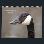 Canada Geese 2026 Calendar<br><div class="desc">This is a calendar full of photo's of Canadian Geese. These images were taken in several counties in New York state. All images were taken by Debbie Quick of Debs Creative Images. To see more photo's by Debbie,  check out her website at: www.debscreativeimages.com</div>