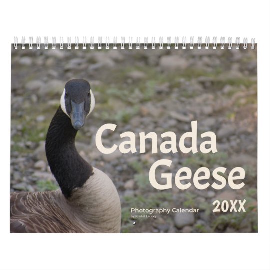 Canada Geese 20XX Calendar