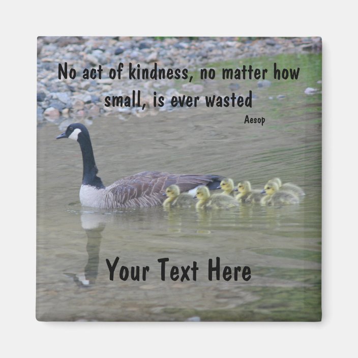 canada geese quotes