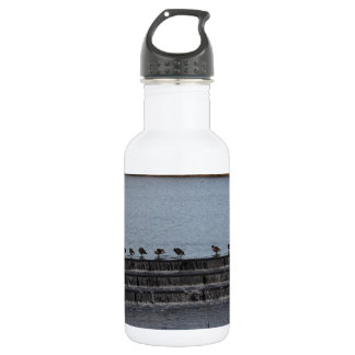 Canada Geese All In A Row Stainless Steel Water Bottle