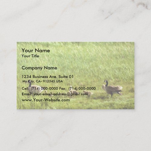 Canada geese and brood business cards