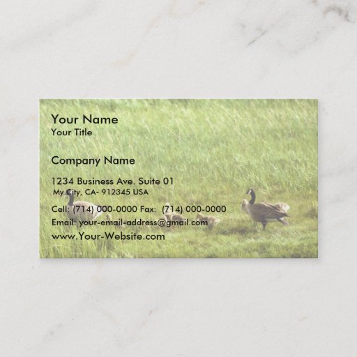 Customizable Canada geese and brood business cards