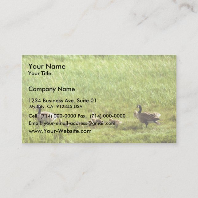 Canada geese and brood business card (Front)