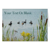 Canada Geese And Cattails (Front Horizontal)