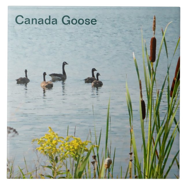 Canada Geese And Cattails Tile (Front)