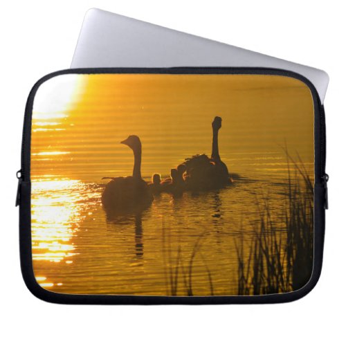 Canada Geese and Goslings at Sunset Nature Scene Laptop Sleeve