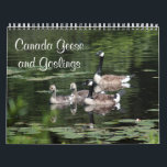 Canada Geese and Goslings Calendar<br><div class="desc">A selection of photos taken over the last year of some Canada geese families including some adorable goslings. I've so loved watching them raise their young and admire their parenting. The young goslings grew so fast, born in May, flying by August. I hope you enjoy these images of the beautiful...</div>