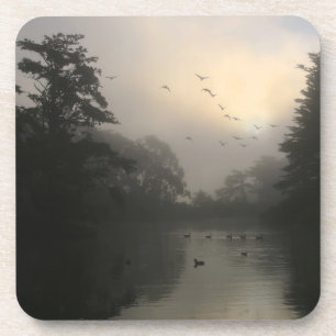 Canada Geese and Morning Fog Beverage Coaster