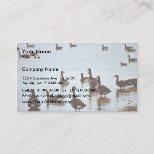 Canada geese at an Ohio wetland area Business Cards