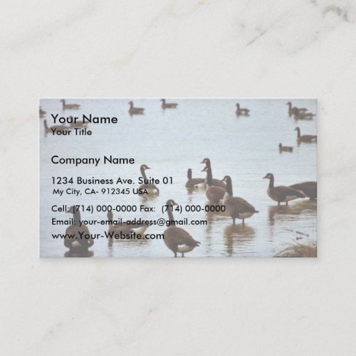 Customizable Canada geese at an Ohio wetland area Business Cards